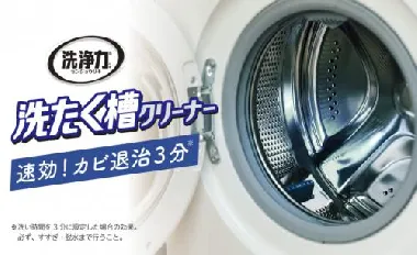 エステー　洗浄力　洗たく槽クリーナー　550g  12本入り-2
