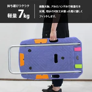 ナンシン　サイレントマスターNEXTコンパクトキャリー　NCC-101B2-4