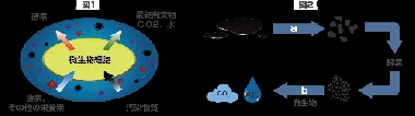 阿部商会　サーフェスクリーン　20L-2