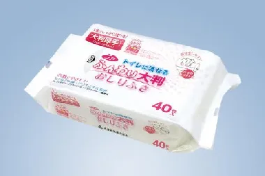 小津産業　ノアトイレに流せるふんわり大判おしりふき 200x300mm 50枚x20袋-1